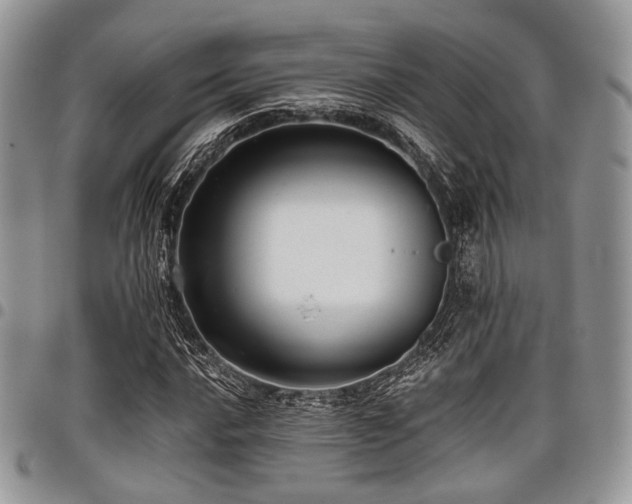 X0000098011016200803281307