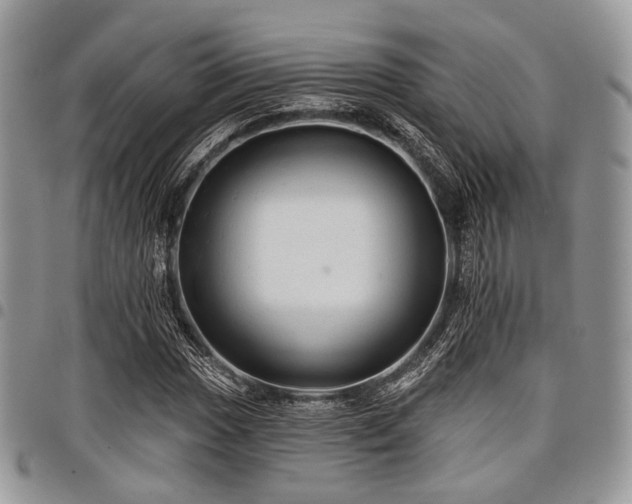 X0000098011017200803281307