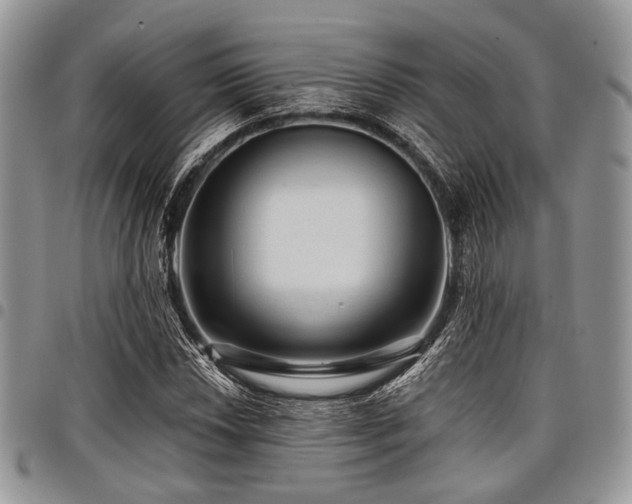 X0000098011018200803281307