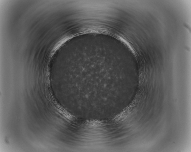 X0000098011019200803281307