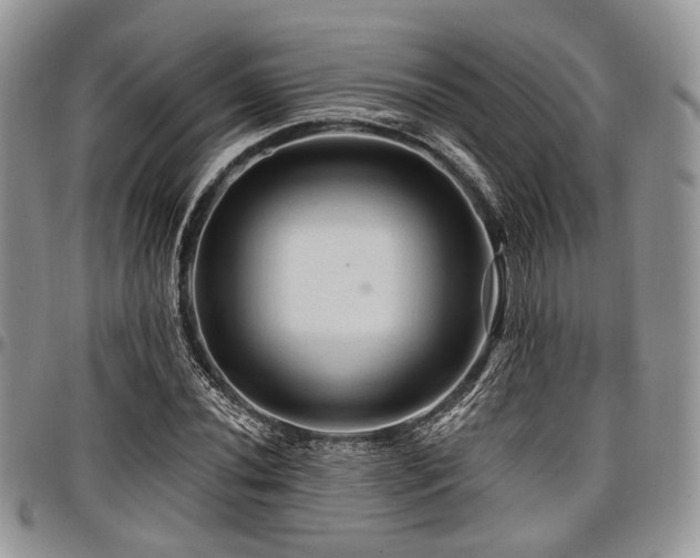 X0000098011020200803281307