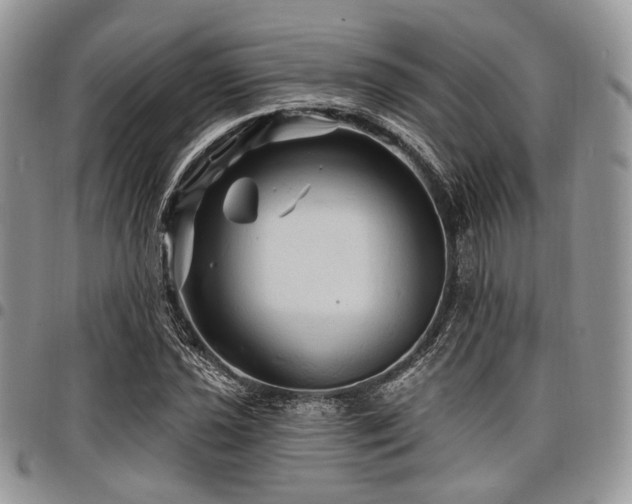 X0000098011021200803281307