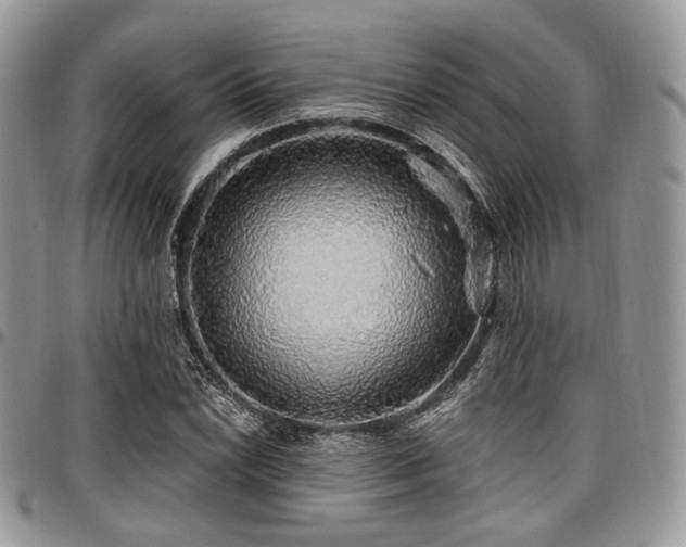 X0000098011022200803281307