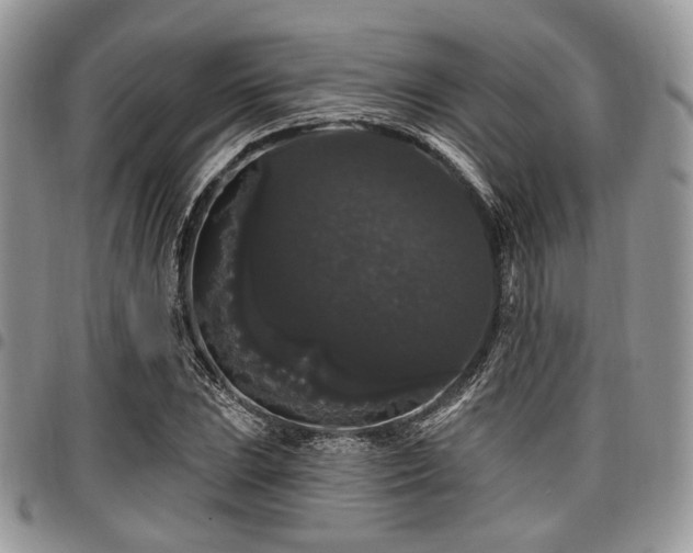 X0000098011023200803281307