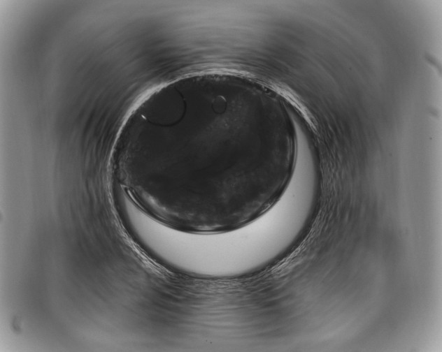 X0000098011024200803281307