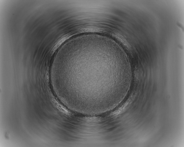 X0000098011025200803281307