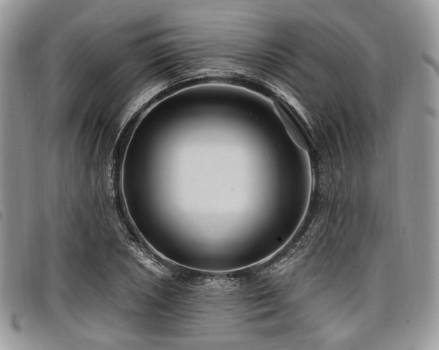 X0000098011026200803281307