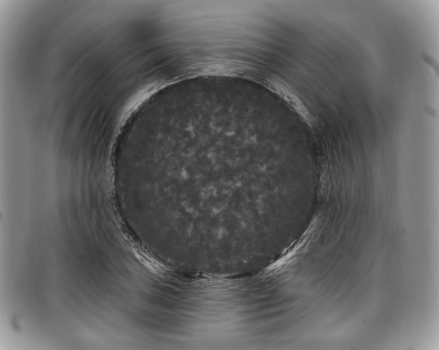 X0000098011027200803281307