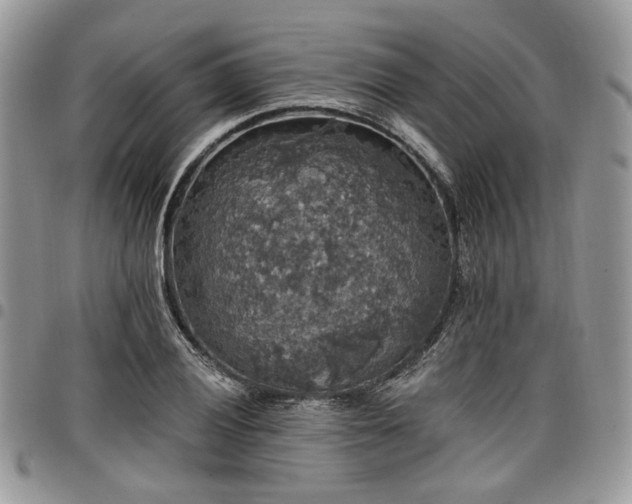 X0000098011028200803281307