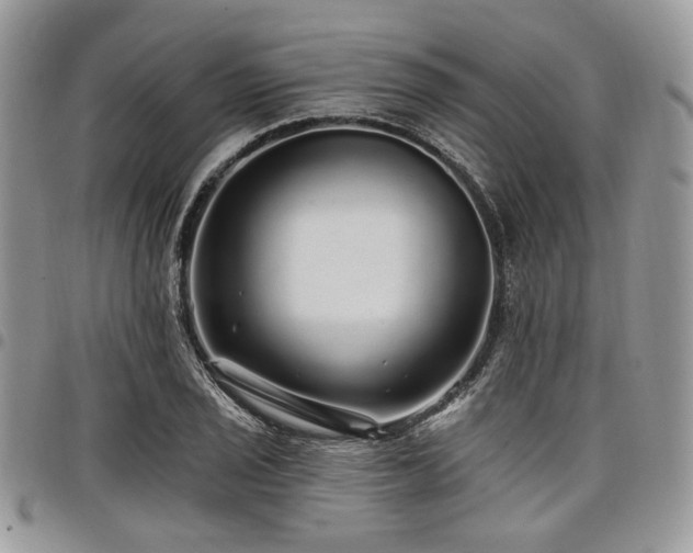 X0000098011029200803281308