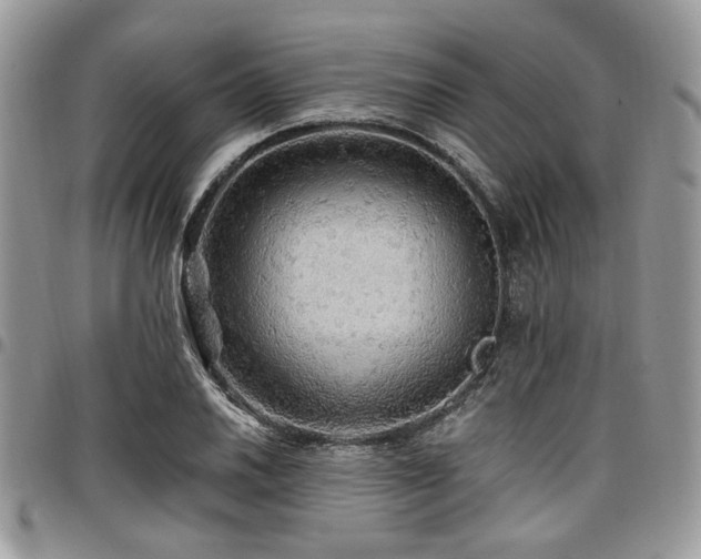 X0000098011030200803281308