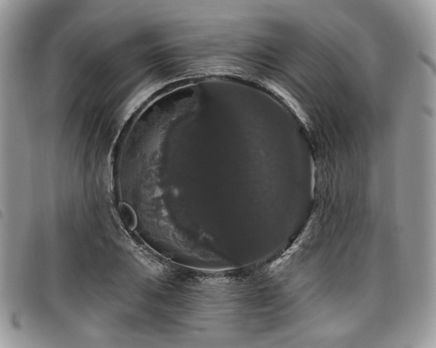 X0000098011031200803281308