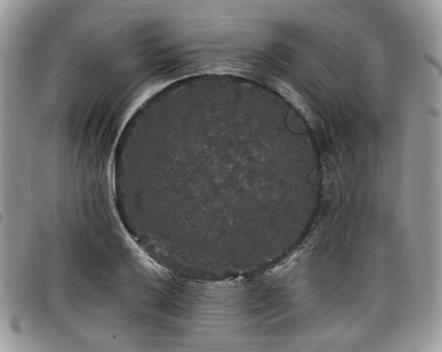 X0000098011032200803281308