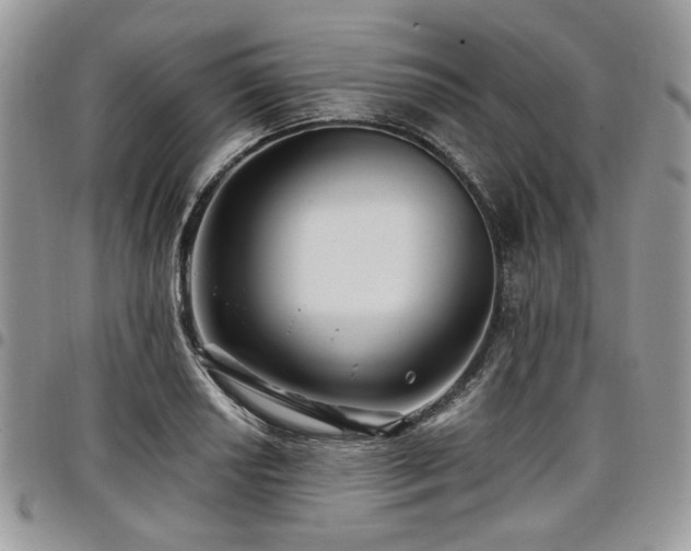 X0000098011034200803281308