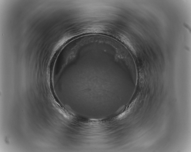 X0000098011035200803281308