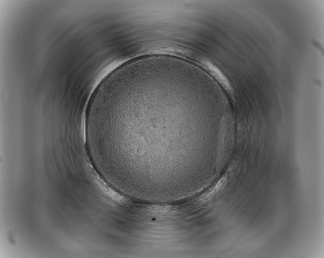 X0000098011036200803281308