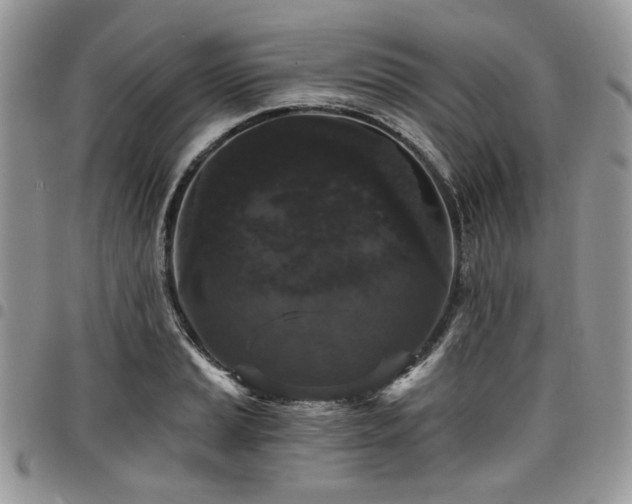 X0000098011037200803281308