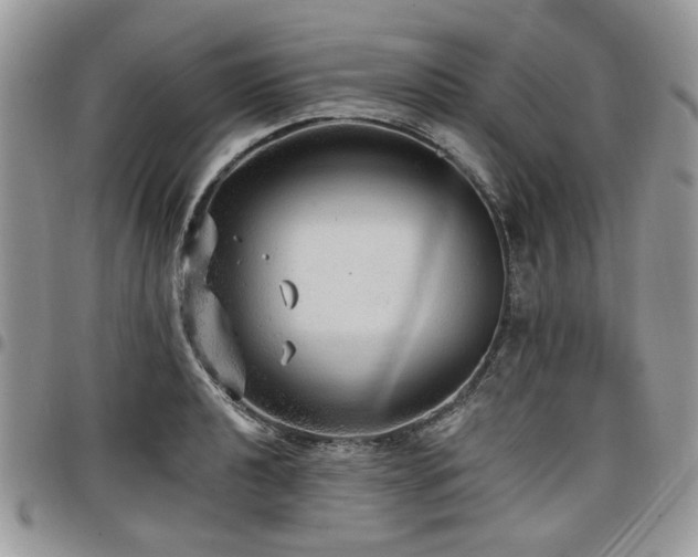 X0000098011040200803281308