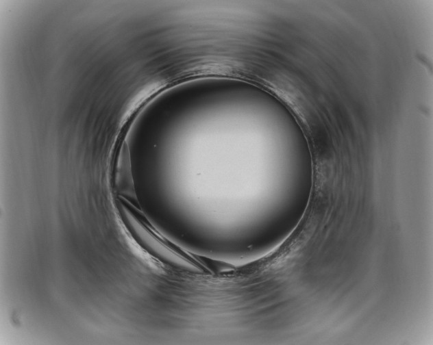 X0000098011042200803281308