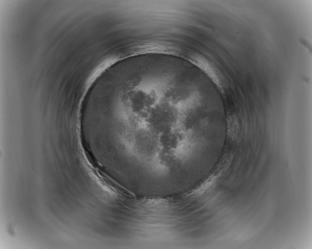 X0000098011043200803281308