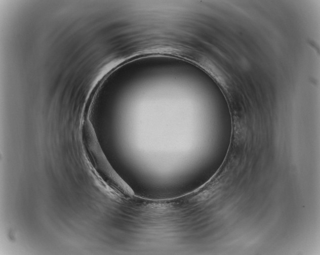 X0000098011044200803281308