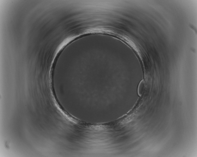 X0000098011045200803281308