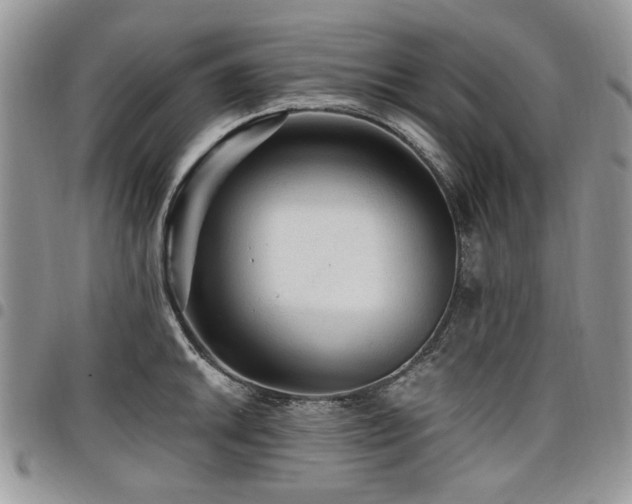 X0000098011046200803281308