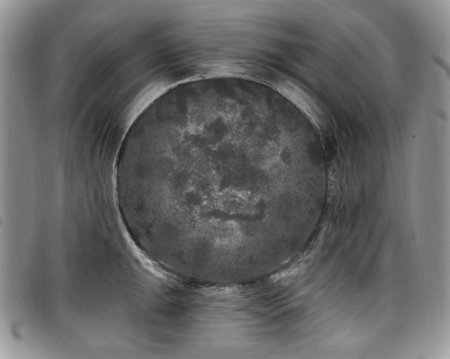 X0000098011047200803281308