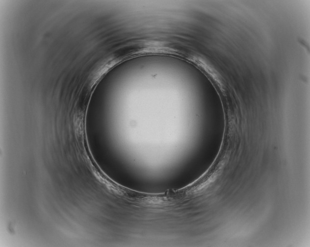 X0000098011049200803281308