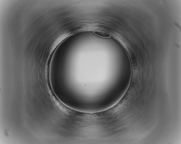 X0000098011050200803281308