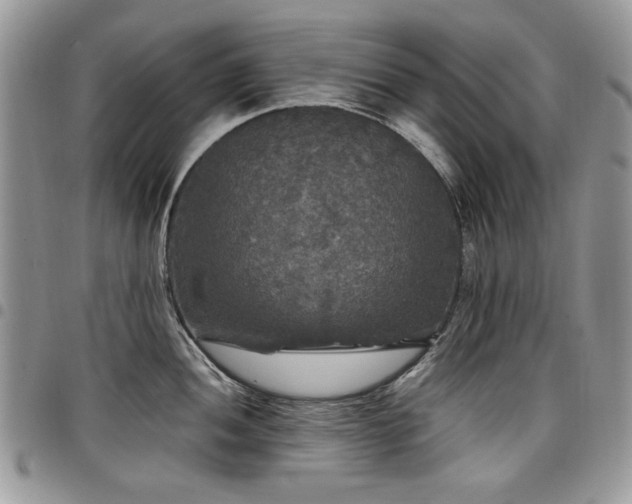 X0000098011052200803281308