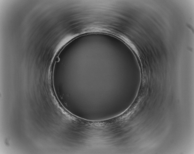 X0000098011053200803281308