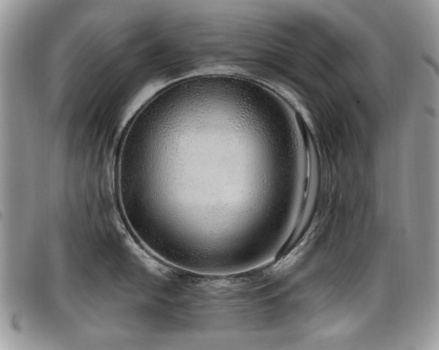 X0000098011054200803281308