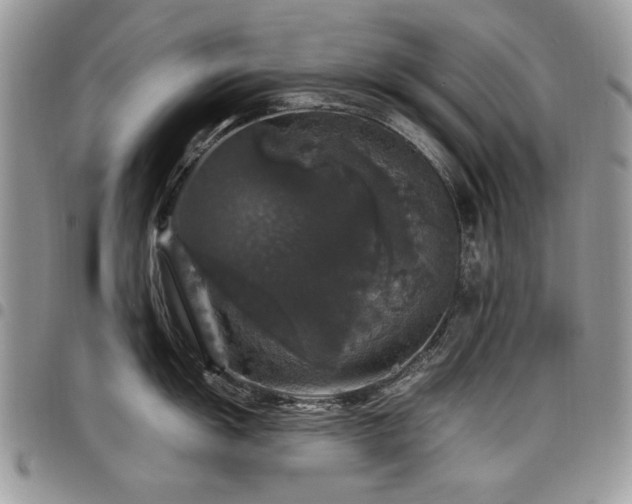 X0000098011055200803281308