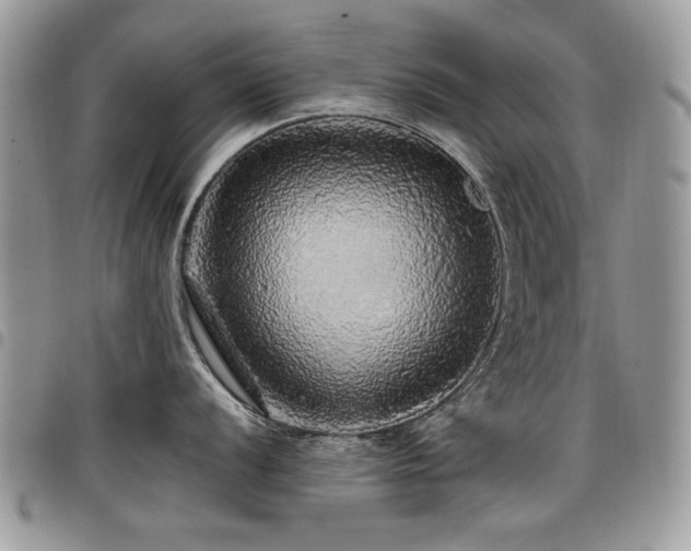 X0000098011056200803281308