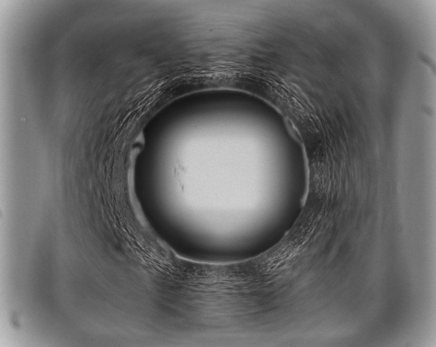 X0000098011057200803281307