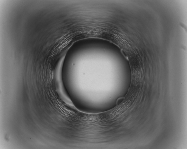 X0000098011058200803281307