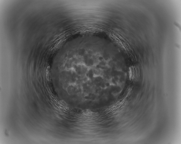 X0000098011059200803281307