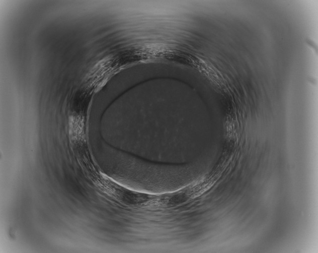 X0000098011060200803281307