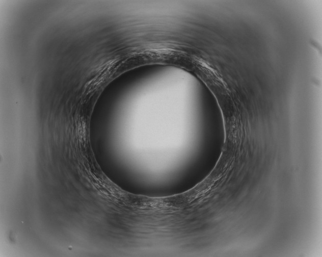 X0000098011061200803281307