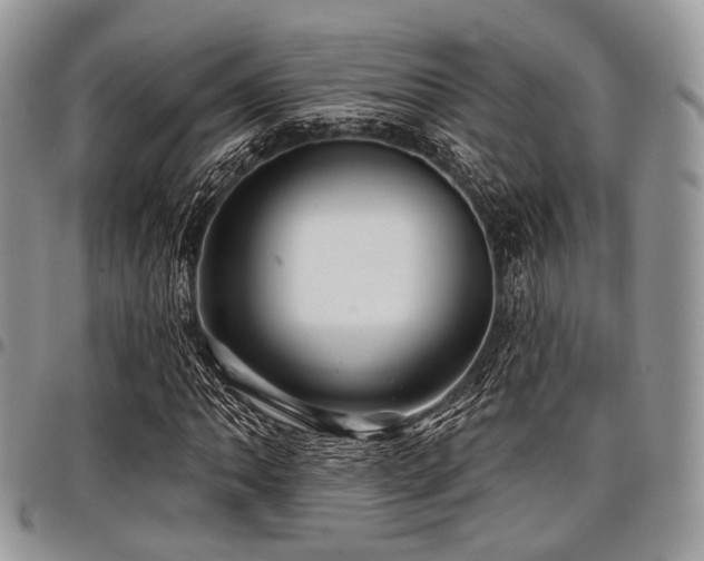 X0000098011062200803281307