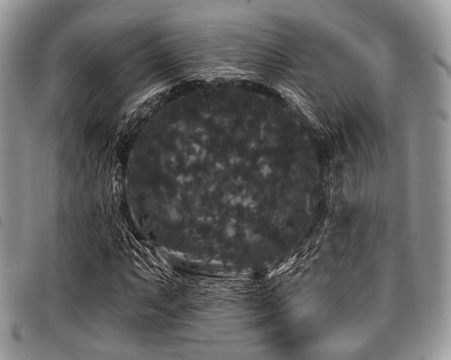 X0000098011063200803281307