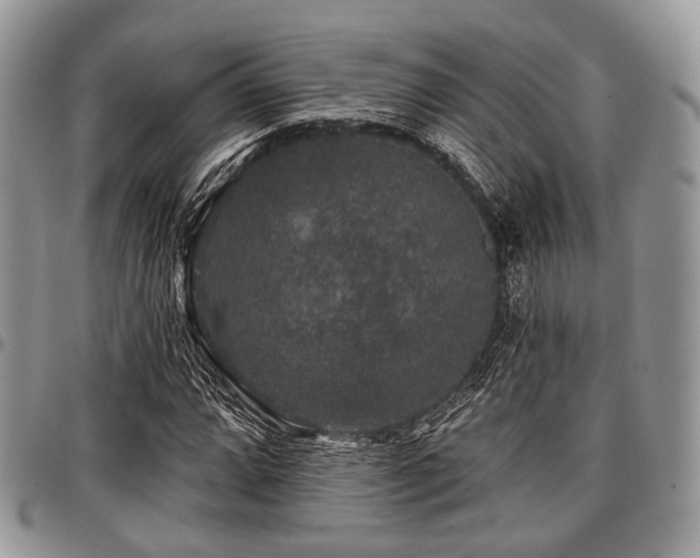 X0000098011064200803281307