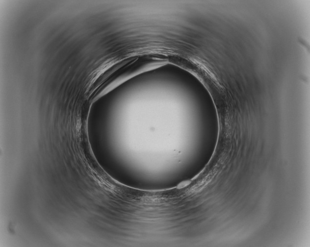 X0000098011065200803281307