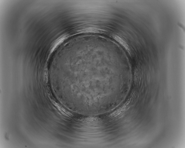 X0000098011067200803281307