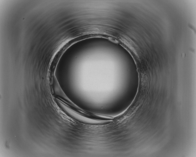 X0000098011068200803281307