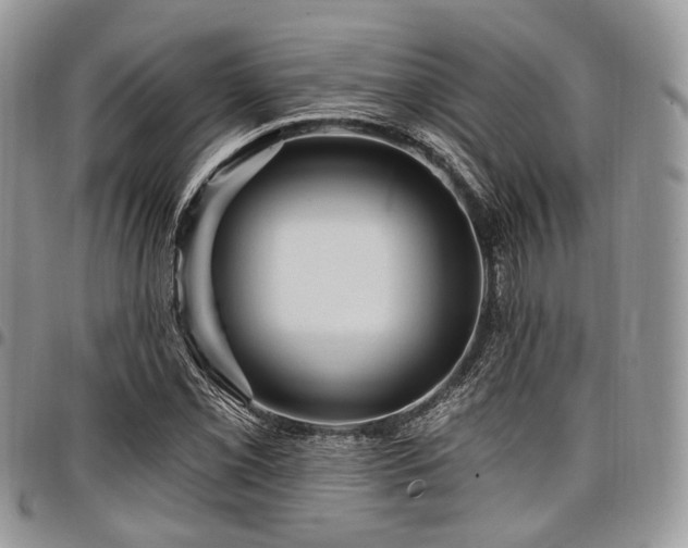 X0000098011069200803281307