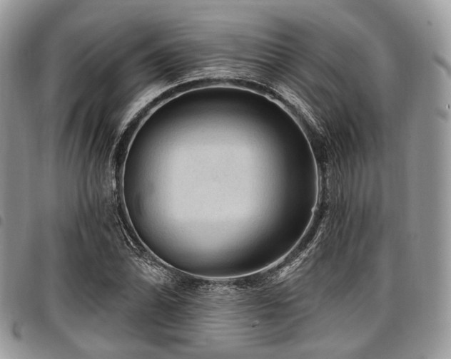 X0000098011070200803281307