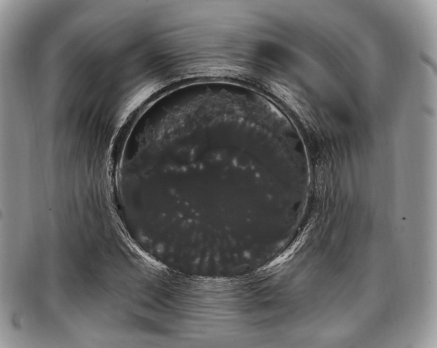 X0000098011071200803281307