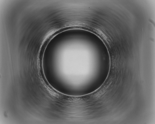 X0000098011072200803281307